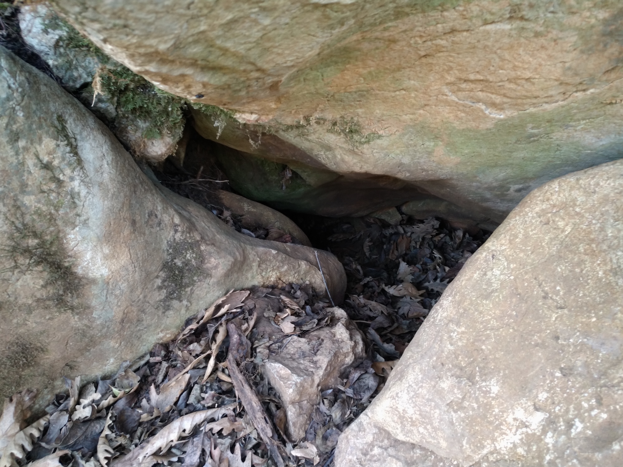 Peștera din Stejeriș - Image 1